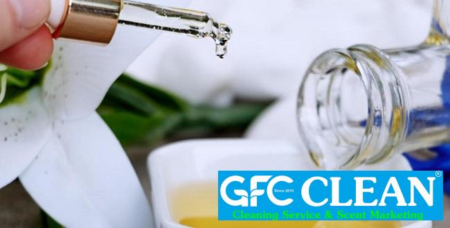 Dịch vụ giải pháp mùi hương - 3